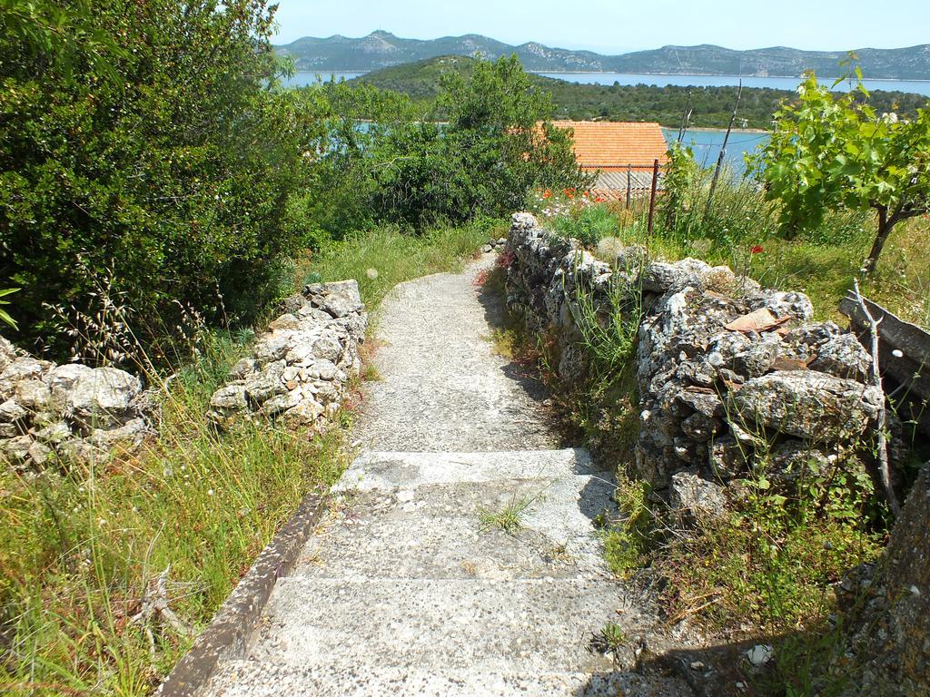 Villa Cortes Mali Iž Exterior foto